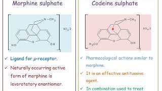 Narcotic analgesics Medicinal ChemistryI [upl. by Nadean923]