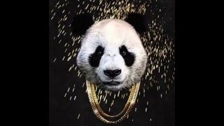 Desiigner  PANDA lyrics [upl. by Gertrud]