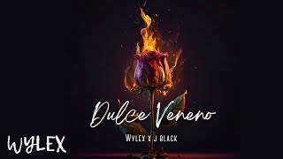 Wylex WR x J Black  Dulce Veneno Official Visualizer [upl. by O'Grady]