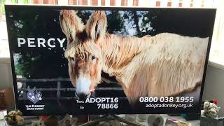 The Donkey Sanctuary Advert  Adopt a Donkey [upl. by Lehcin]