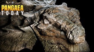 Incredible Mummified Dinosaur Found  Borealopelta [upl. by Alih]