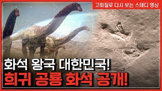 화석 왕국 대한민국 세계 유일 희귀 공룡 화석 공개  한국사 탐 반복재생YTN 사이언스 [upl. by Faucher717]