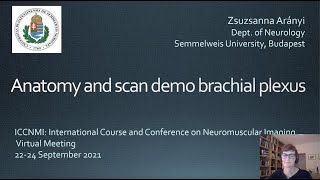 ICCNMI 2021  Anatomy and scan demo of the brachial plexus [upl. by Stover]