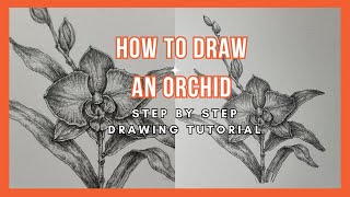 How to Draw an Orchid step by step drawing tutorial [upl. by Sackman]