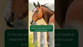 Colic in Horses  Merck Veterinary Manual [upl. by Weinstein]