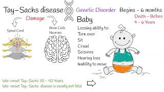 Tay–Sachs disease  Symptoms Early signs and Prevention [upl. by Giffie]