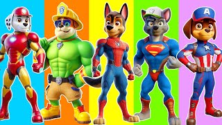 PAW Patrol CHALLENGE Choose The Correct Answer Become SpiderMan 5 Times Challenge With Chase [upl. by Lebatsirc415]