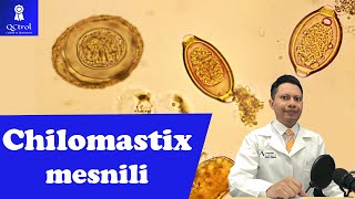 Conoce a Chilomastix mesnili morfología y CLAVES para su identificación🔬 [upl. by Asehr]