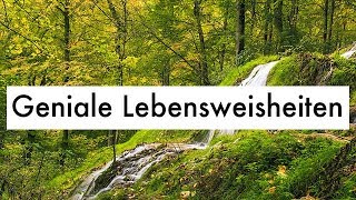 Geniale Lebensweisheiten  Witzige Zitate amp Weisheiten des Lebens [upl. by Gould83]