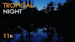 Tropical Night  Jungle Lake Sounds for Sleeping  Frogs amp Crickets  11 Hours  Relaxing Nature [upl. by Neffets]