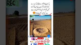 Ehsaas Saka Anmol Jazba Famous Urdu Quotes Deep Love Of Aqool Zareen Islamic Video youtubeshorts [upl. by Nogras818]