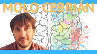 Entrevista a Molo Cebrián Entiende tu mente y Saliendo del círculo  Podcast El Estoico [upl. by Lelia806]