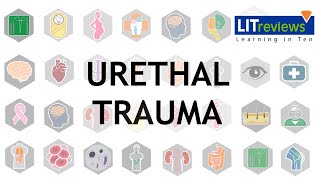 Urethral Trauma [upl. by Auhoj]