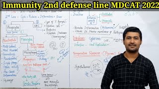 Immune system  2nd line of Defense  Life processes in human Mdcat 2022 [upl. by Jacquie]