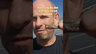 Holy Locust on my diet for Caesarea race locust biblicalprotein johnthebaptist [upl. by Treiber]