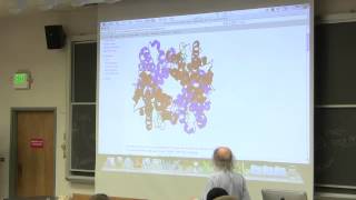 6 Biochemistry Lecture Hemoglobin from Kevin Aherns BB 350 [upl. by Etteiram]