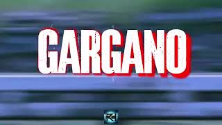 WWE Johnny Gargano Entrance Video  quotBet On Yourselfquot [upl. by Pironi]