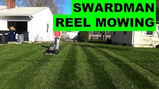 Reel mowing KBG at 2in and 34in with the Swardman Edwin Reel Mower [upl. by Ishmul]