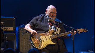 Popa Chubby Live  Lons le Saunier 2022 by webec [upl. by Fleda978]