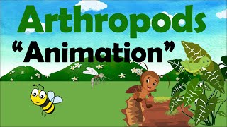 ARTHROPODS  Biology Animation [upl. by Akerboom]