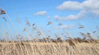 Bogoroditse Devo Rachmaninoff — Choir of Wells Cathedral [upl. by Bain]