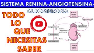 SISTEMA RENINA ANGIOTENSINA ALDOSTERONA ¡FÁCIL Y SENCILLO [upl. by Yecam]