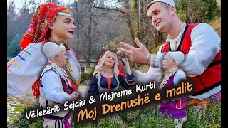 Vellezerit Sejdiu amp Mejreme Kurti  Moj drenushe e malit Official Video [upl. by Petrine949]