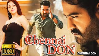 Chennai Don  New South Action Dub Bangla Film  NTR JuniorSonali JoshiBrahamandamVenu Madhav [upl. by Oam]