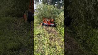 TREX 44 SLOPE MOWER VS BRANCH WHO WILL WIN [upl. by Eanad]