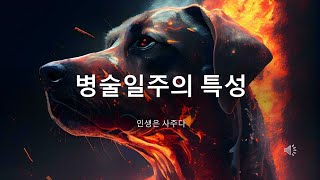 일주론병술일주의 특성 [upl. by Hancock]