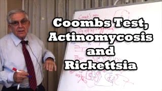 Coombs Test Actinomycosis and Rickettsia [upl. by Rumery]