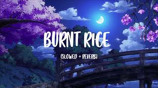 BURNT RICE  Slowed  Reverb [upl. by Anelrahc]