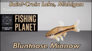 Fishing Planet Bluntnose Minnow SaintCroix Lake Michigan [upl. by Barbey761]