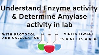 Enzyme activity  Alpha amylase activity determination in lab [upl. by Niamreg]