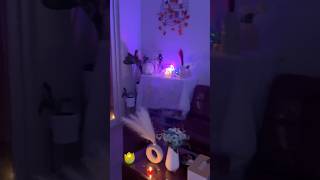 Rented flat m decor Diwali ka✨🌸 diwalidecor diwalivibes [upl. by Jacqui]