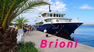 Brodom od Fažane 🚢 do Brijuna ☀ Istra 🇭🇷 Hrvatska [upl. by Rann265]