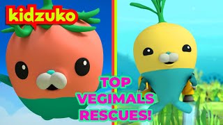 Octonauts  ⛑️ Saved by the Vegimals 🥕  Spectacular Land and Sea Rescues Compilation  Kidzuko​ [upl. by Buddy523]