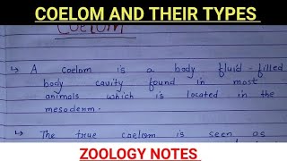 COELOM AND THEIR TYPES BSC ZOOLOGY NOTESMSC ZOOLOGY NOTES vbu bbmku bhu mu [upl. by Minor]