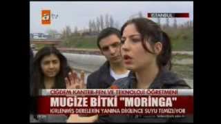 ATV Ana Haber Moringa Bitkisi 7 Mart 2013 [upl. by Lavena634]