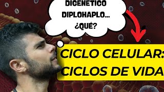 EL CICLO CELULAR LOS CICLOS BIOLÓGICOS [upl. by Drislane]