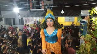 carnaval em Olinda [upl. by Buchalter]