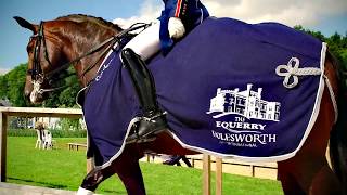 Equerry Bolesworth International Horse Show 2017  Highlights Day 2 [upl. by Artenal]