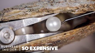 Why South Sea Pearls Are So Expensive  So Expensive  Business Insider [upl. by Amaj]