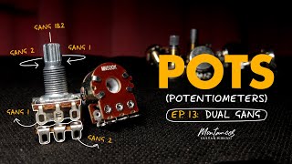 Guitar Potentiometers EP13 Dual Gang [upl. by Apgar]