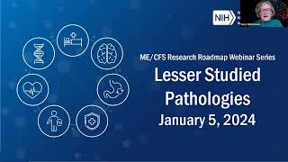 MECFS Research Roadmap Webinar  Lesser Studied Pathologies [upl. by Rodie12]