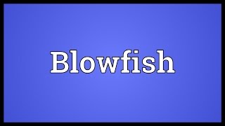 Blowfish Meaning [upl. by Atinid]