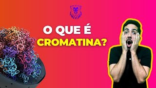 O que é cromatina Biologia para vestibulares [upl. by Elgna737]