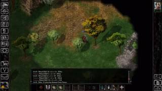 Lets Play Baldurs Gate Shapeshifter Solo [upl. by Ateerys]