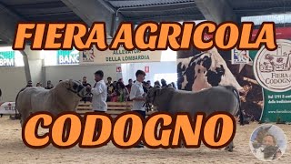 FIERA AGRICOLA di CODOGNO LODI lombardia con DUEA TENSOSTRUTTURE [upl. by Duwad]