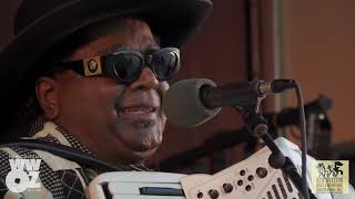 Nathan amp the Zydeco Cha Chas  Full Set  live at the Cajun Zydeco Festival [upl. by Nemrak159]